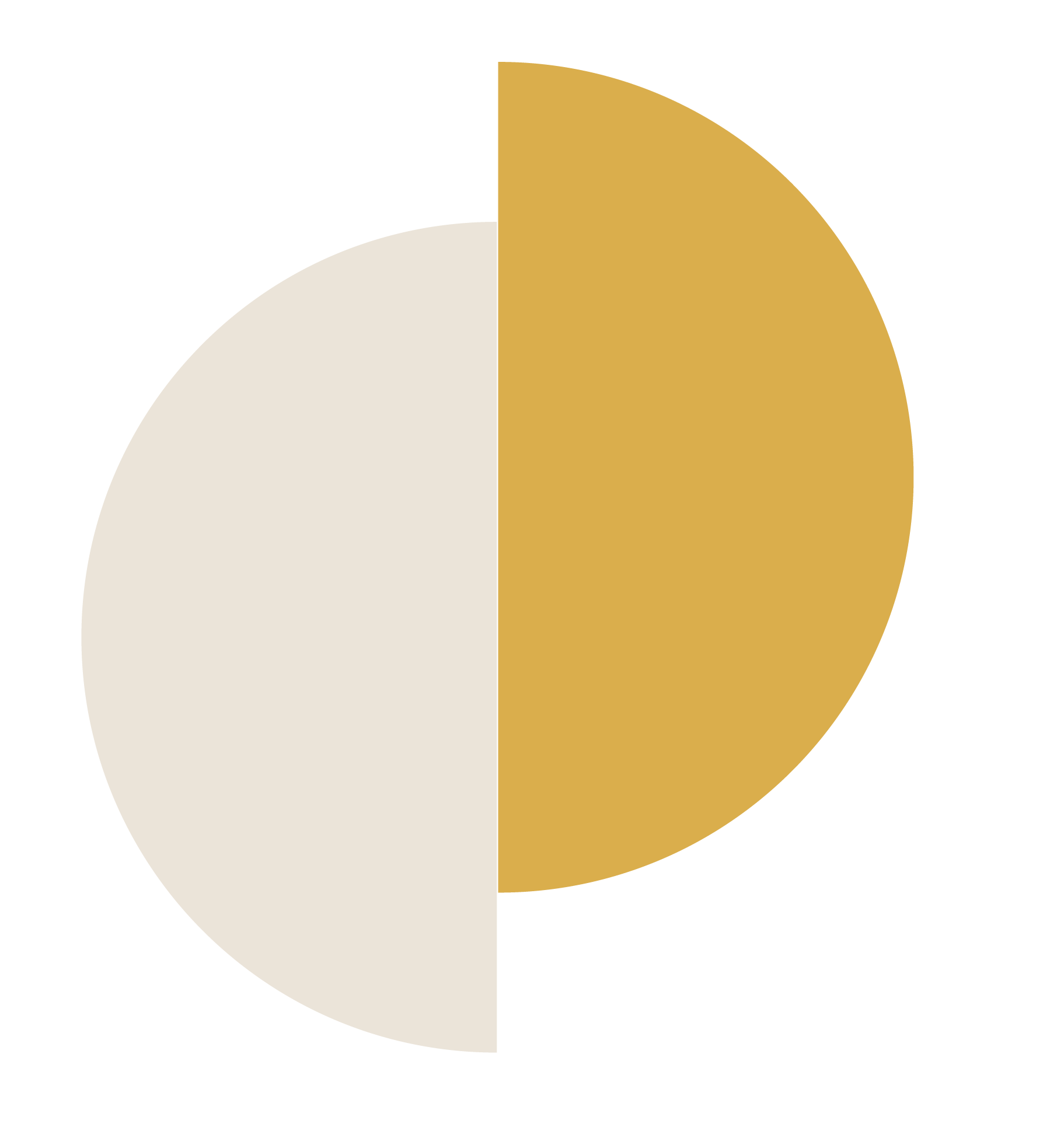 P 06